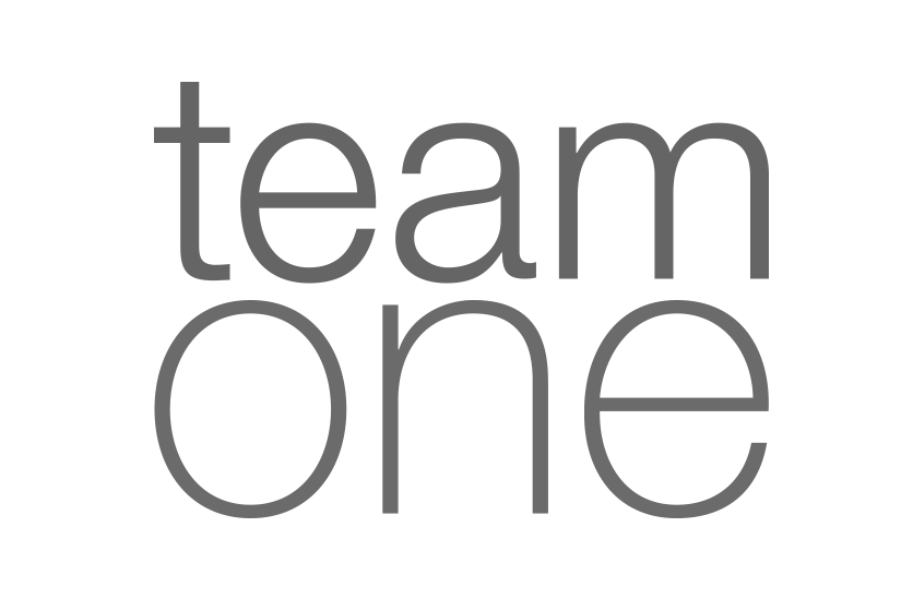 NB_logo_team-one