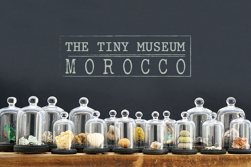 Création & développement de la marque tiny museum of Morocco